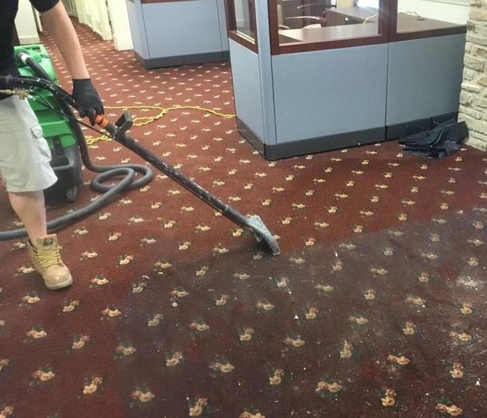 Technician using extraction wand on carpet